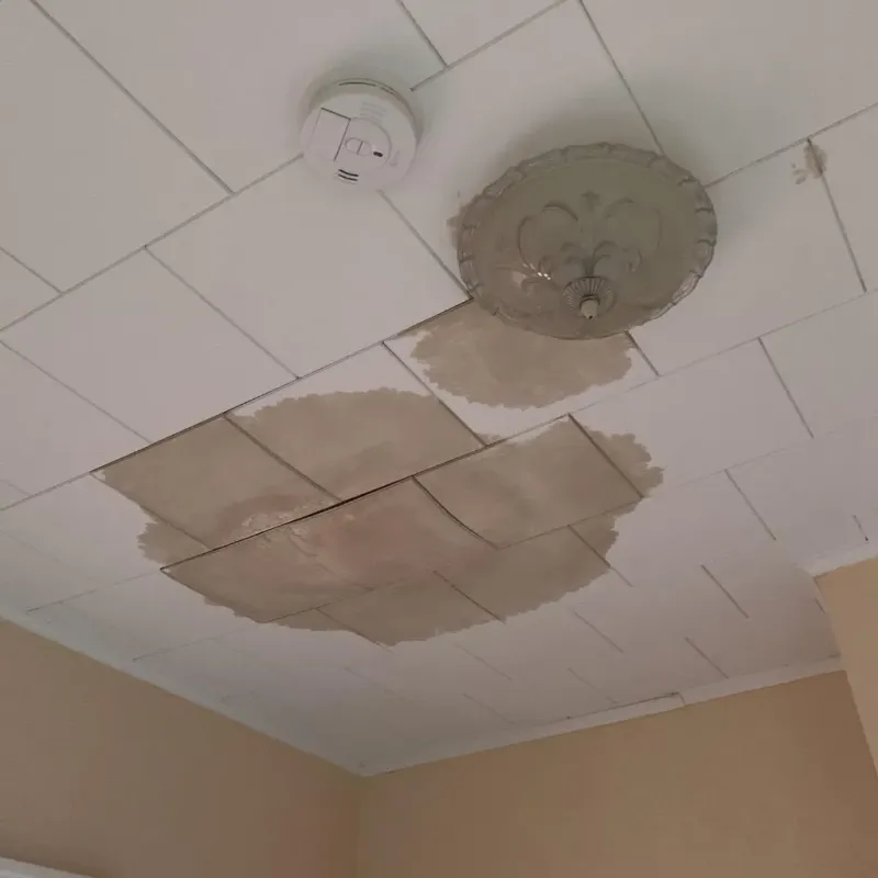 Ceiling Water Damage Repair in Van Buren County, IA