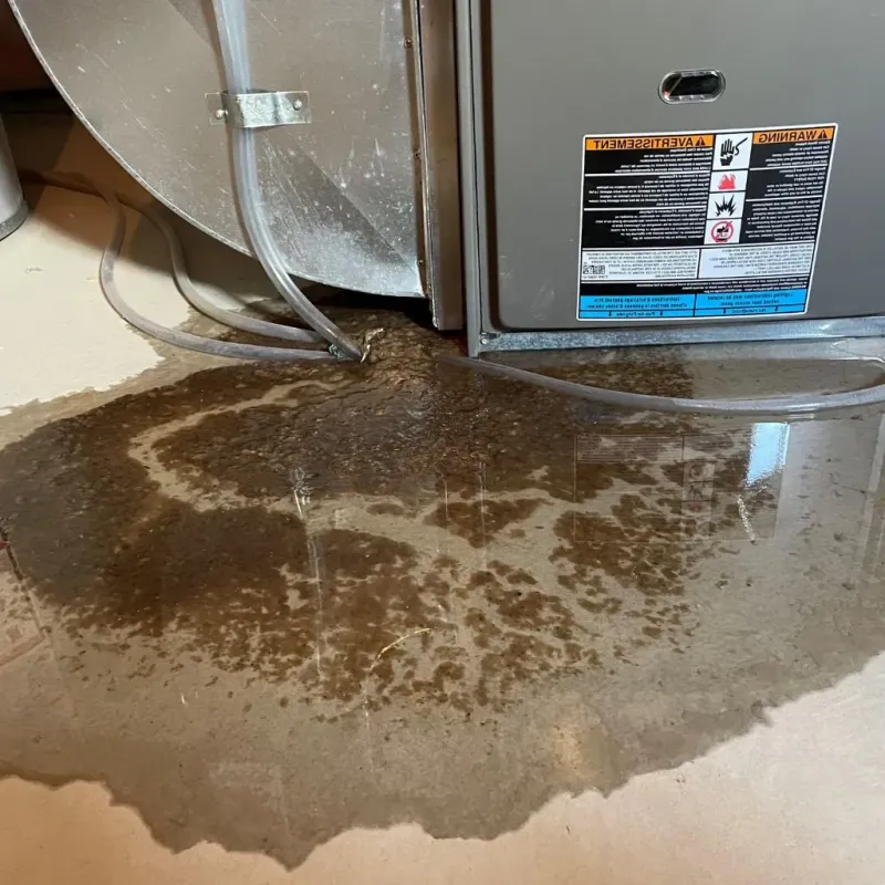 Pipe Burst and Leak Restoration in Van Buren County, IA